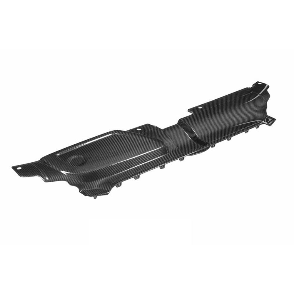 Eventuri Audi RS4 Black Carbon Slam Panel Cover