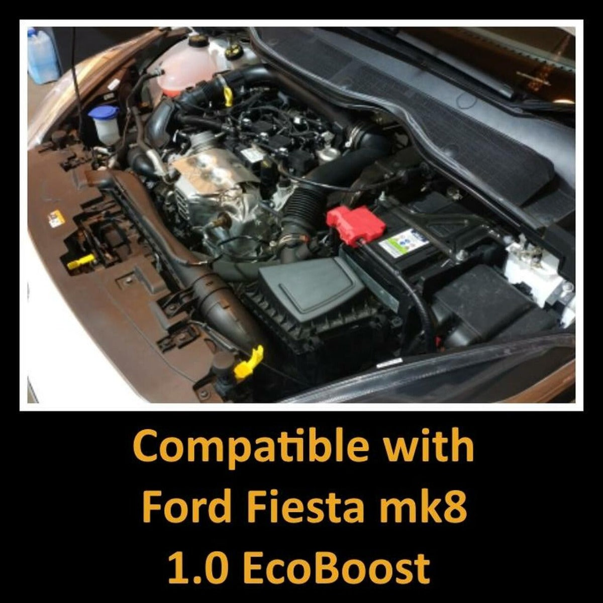 Ramair 1.0 Ecoboost Ford Fiesta MK8 Blue Performance Intake Kit