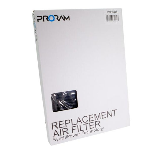 ProRam PPF-9809 - Kia Hyundai Replacement Pleated Air Filter