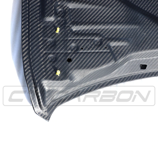 BMW M3 & M4 F80/F82/F83 CARBON FIBRE BONNET - GTS STYLE